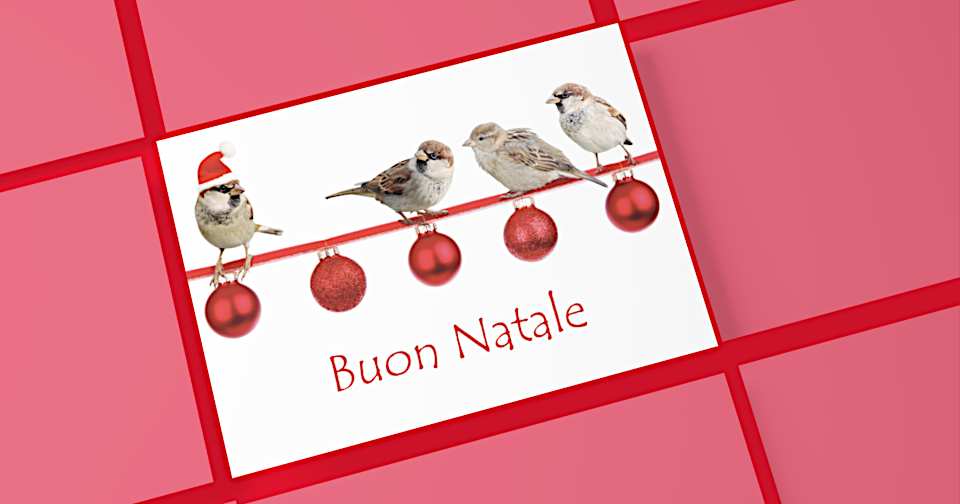 Immagini Animali E Natale.Per Gli Animali Il Natale Non E Una Festa Aiutali Agireora