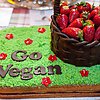 Gara nazionale di dolci vegan: dolce più bello: foto 03 di 10