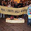 Presidi antipellicce per la Giornata Internazionale dei Diritti degli Animali: foto 05 di 5