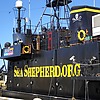 Sea Shepherd si prepara alla partenza - by Ico Thieme: foto 03 di 18